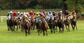 2013 Velka Pardubicka